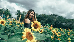 Sunflower Seeds